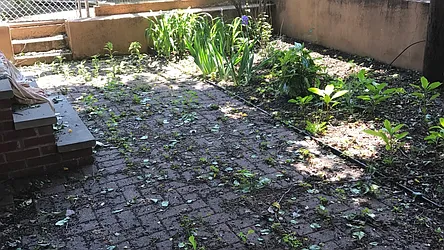 Rented by Terra Magia Inc