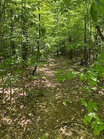 2nd image of 967 N Rivers Trl