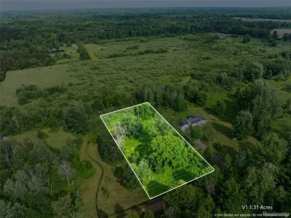 0078-V/L Natures Nest Rd, Vassar, MI 48768