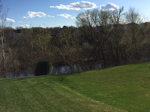 Backyard in early Spring