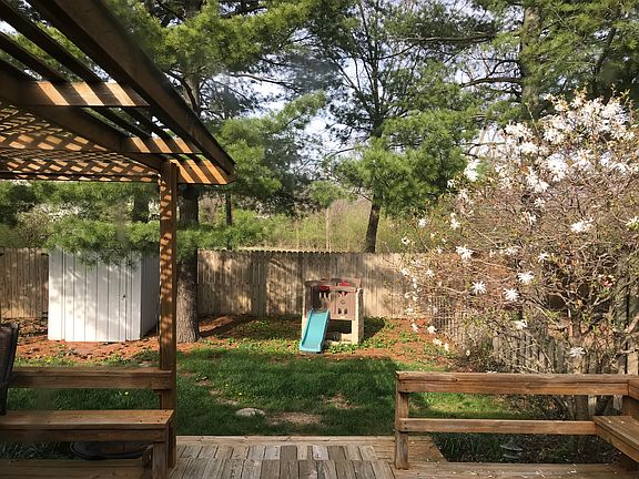 Back yard