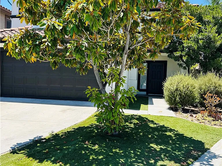 32561 Del Zura — Photo 4