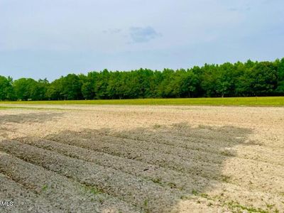 0001 Capps Bridge Road, Princeton, NC, 27569