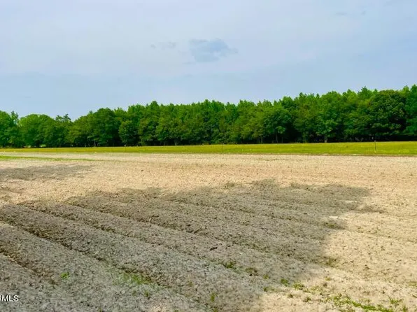 0001 Capps Bridge Road, Princeton, NC 27569