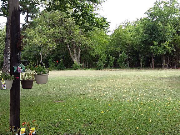 Back yard