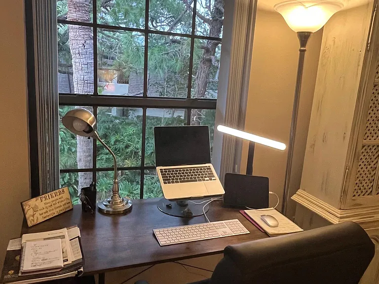 Nice work desk and chair with a view of nature and trees