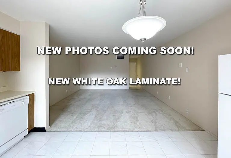431 Dinahs Ct — Photo 4