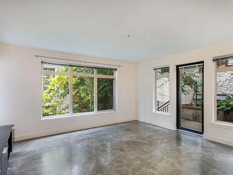 Living room with tons of windows and greenery