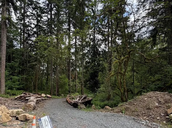 55015 315th Avenue, Ashford, WA 98304