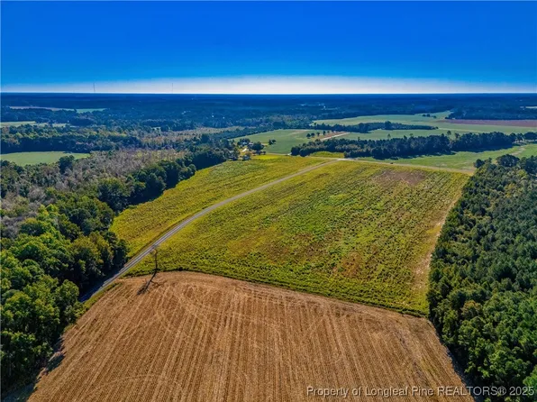 21 Daniel McLeod Rd, Red Springs, NC 28377