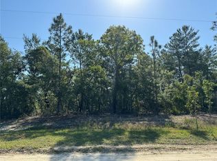 9195 SW 121st Ter #4, Dunnellon, FL 34432