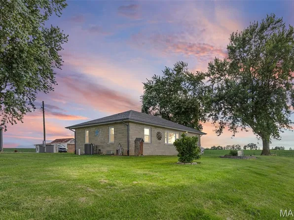 44709 Spring Creek Rd, Nebo, IL 62361