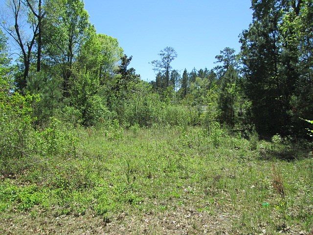 2nd image of 808 Lona Rester Pl