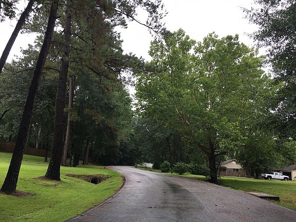 4th image of 1310 Palmetto Ln