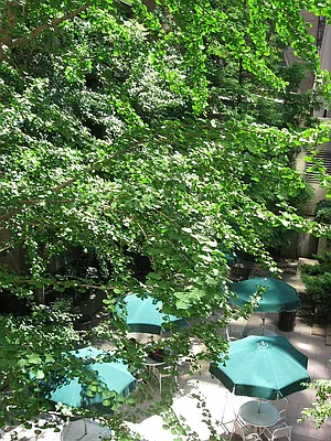 Rented by Newell and Assoc. | media 20