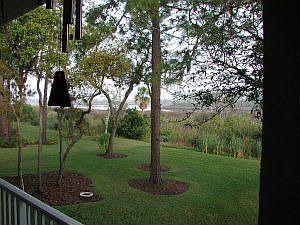 View from rear porch
