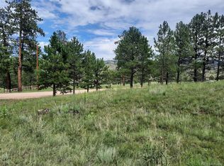 13549 Hedi Rd, Woodland Park, CO 80863