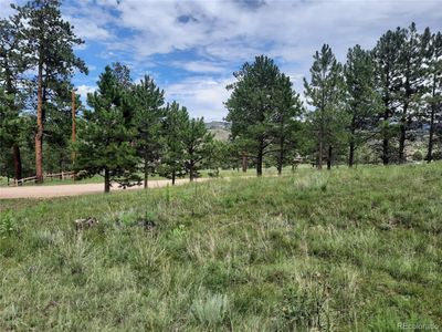 13549 Hedi Road, Woodland Park, CO, 80863