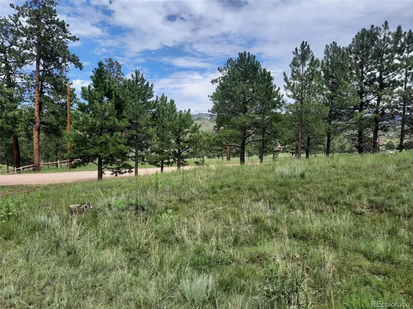 13549 Hedi Road, Woodland Park, CO 80863