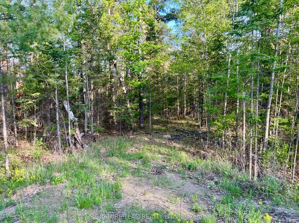 0 Foymount Rd, Bonnechere Valley, ON K0J 1T0