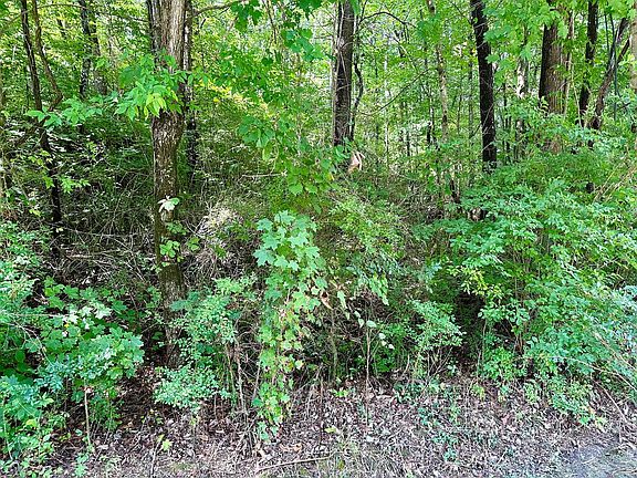 3rd image of 0 Old Cleveland Pike