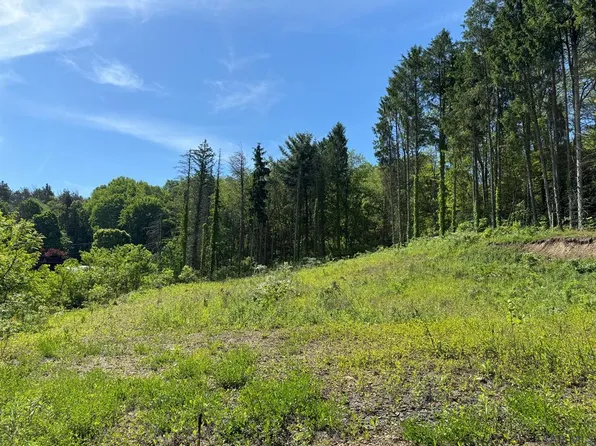 Bud Ave, Windber, PA 15963