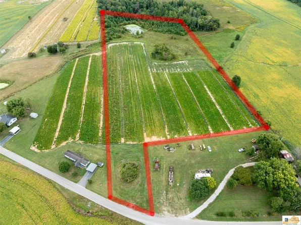 2398 Knob Lick Blue Springs Rd, Knob Lick, KY 42154