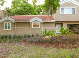 15215 Amberly Dr APT 104, Tampa, FL 33647