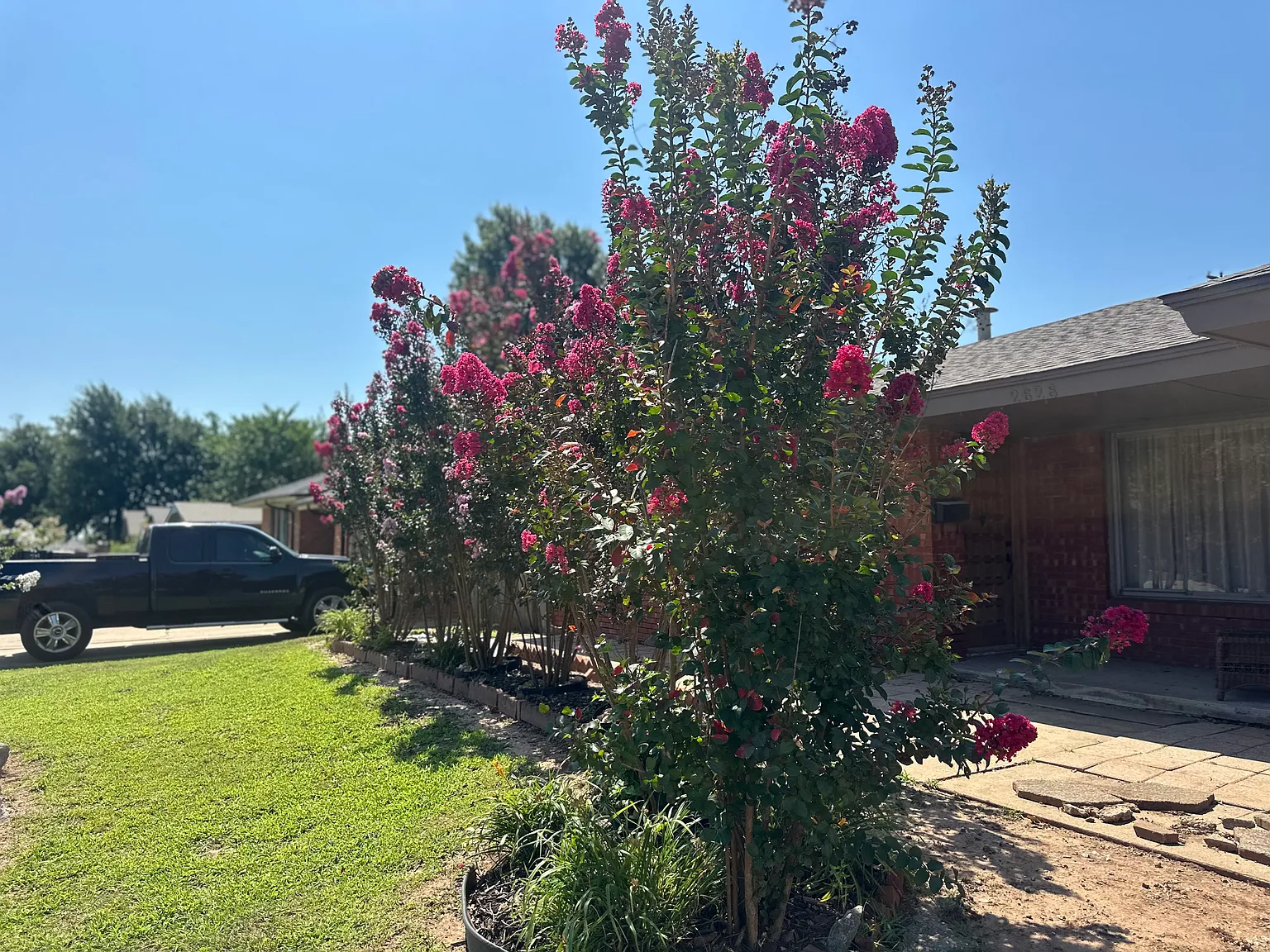 3 bed, 1.5 bath, 1327 sqft, $1,800 — Photo 4