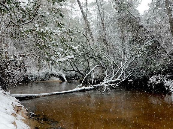 Snowy Creek