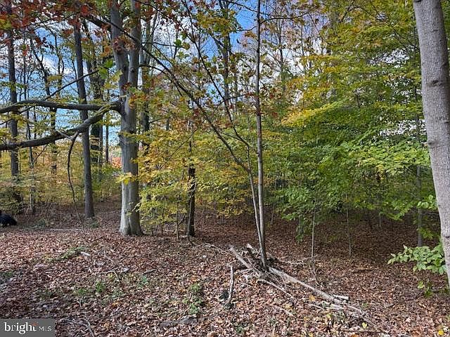 2nd image of 12 Pleasant Wood Rd