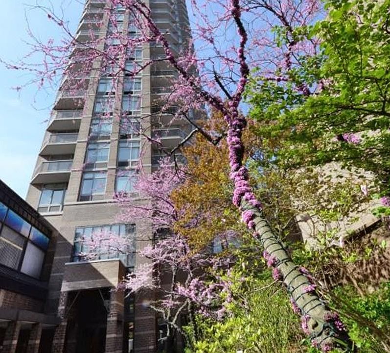 1st image of 188 E 64th St APT 1006