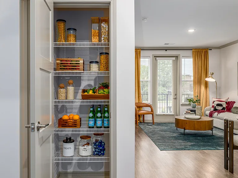 Organized pantry with spacious living room visible in the background.