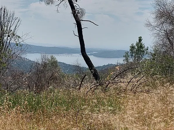 0 Black Bear Rd, Berry Creek, CA 95916