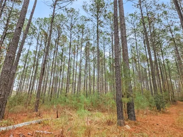 943 Hunter Rd #1, Ellaville, GA 31806