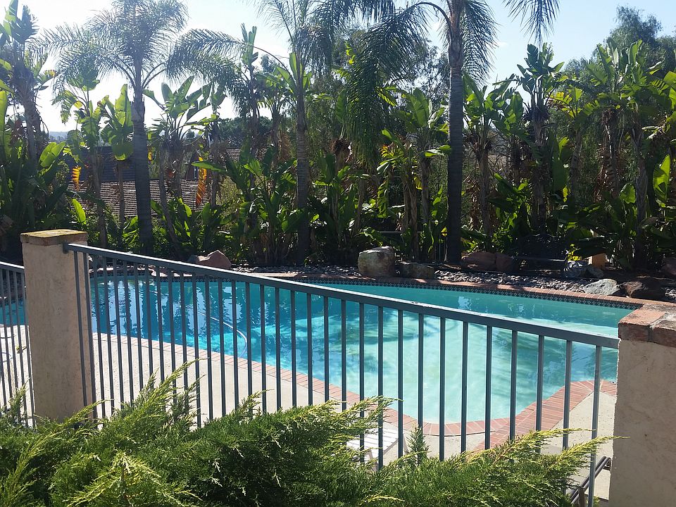 Pool in a tropical setting