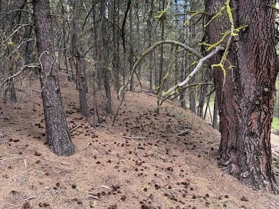 5th image of LOT 28 Fire Ridge Rd