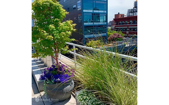 Sold by Douglas Elliman | media 28