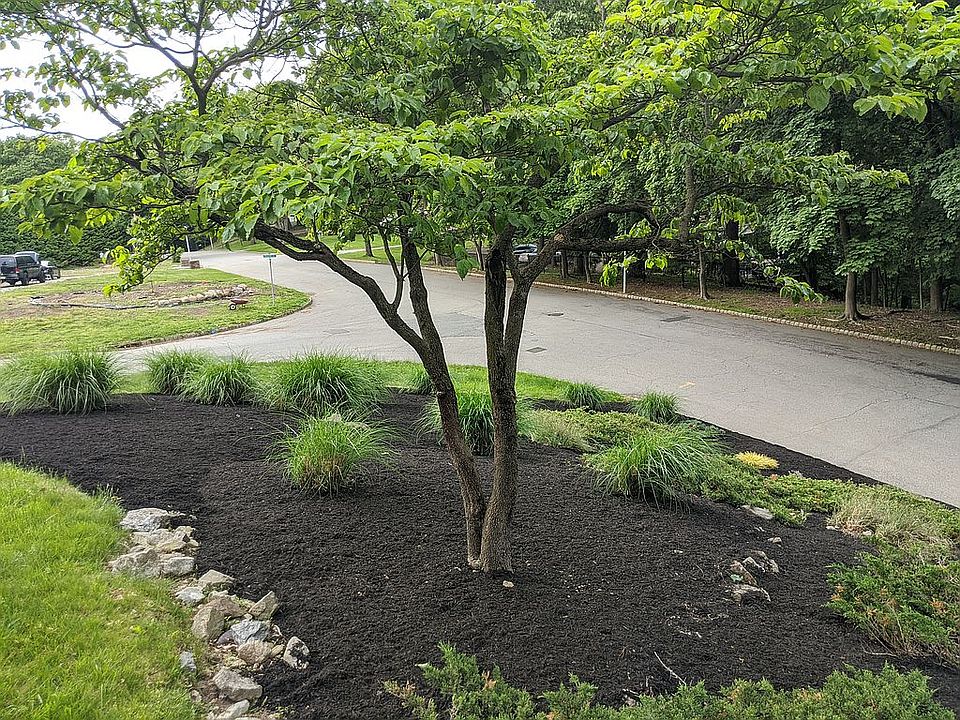2nd image of 36 Manor Ln