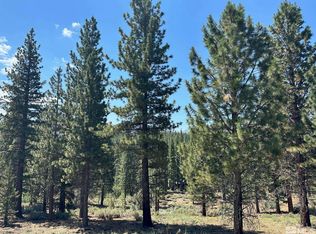 LOT 2 Raymond View Rd, Markleeville, CA 96120