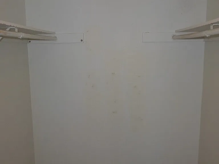 2149 Clubhouse Dr — Photo 9