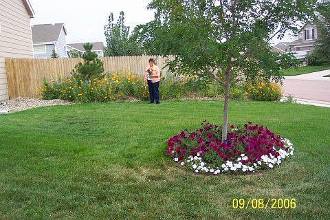 frontyard