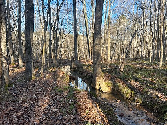 One of two streams the runs East to West to main creek