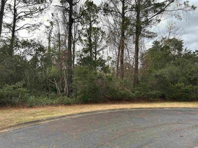 Lot 4 Josie Way, Georgetown, SC, 29440