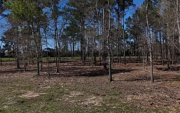 2nd image of 4335 Fm 1374 Rd