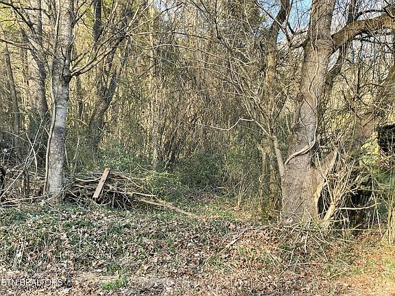 3rd image of 0 Crowder Rd