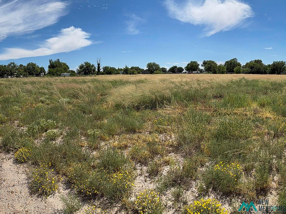 1st image of Ocotillo Ave