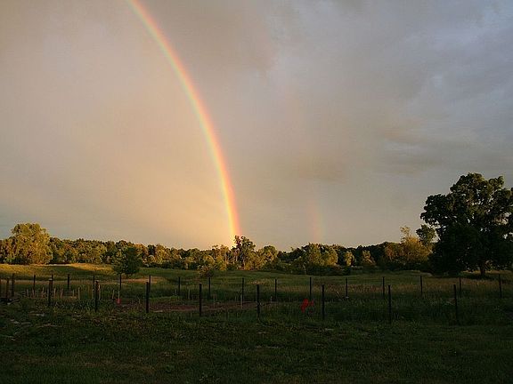 3rd image of 4650 Warren Rd