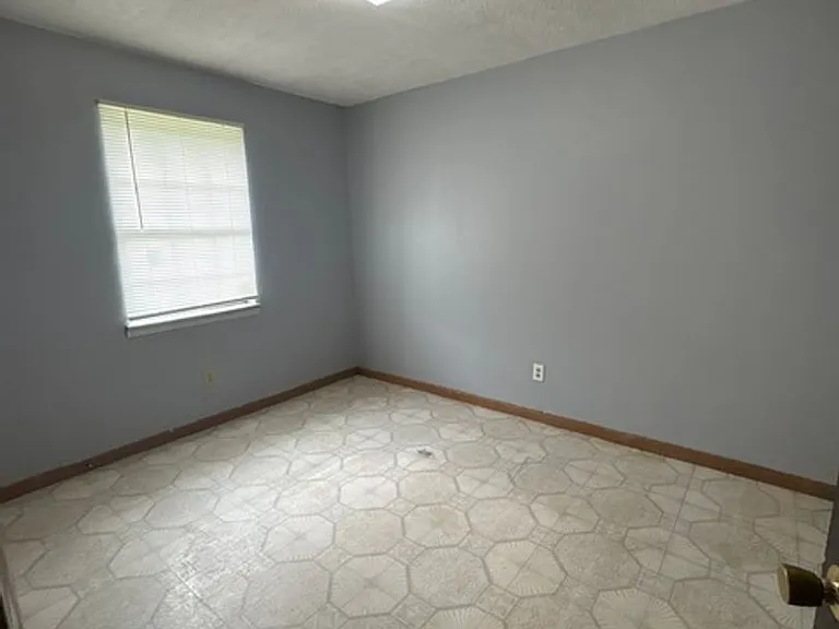 295 Homer Rd — Photo 9