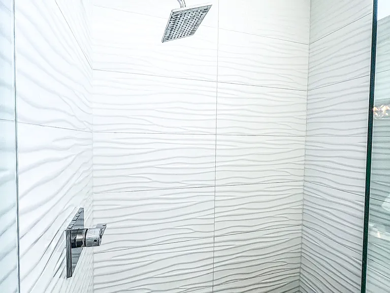 Master Bathroom Shower